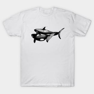 Swimming Orcas T-Shirt